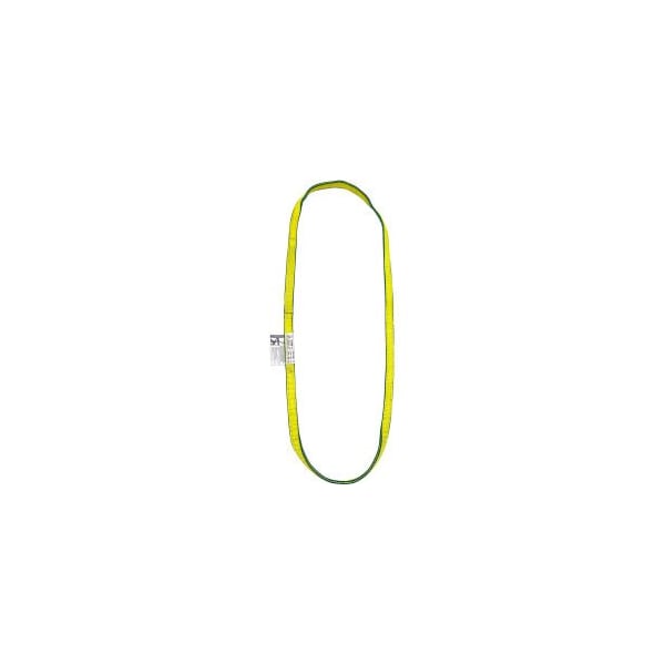 Lift America 2' Poly Web Sling Endless, 4900/6200/12400 Lbs Cap